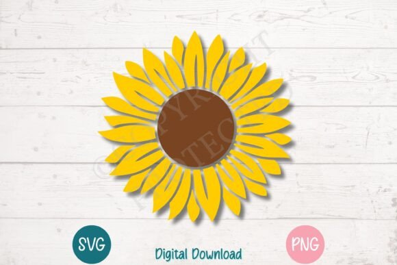 Sunflower Bloom Without Stem SVG Review